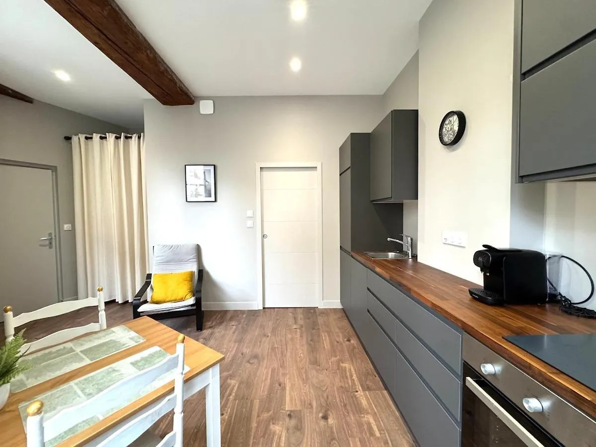 Apartment Appartement Agreable Proche Gare Vienne  France